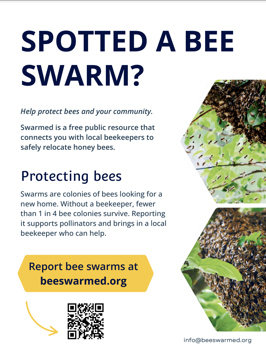 spotted a bee swarm